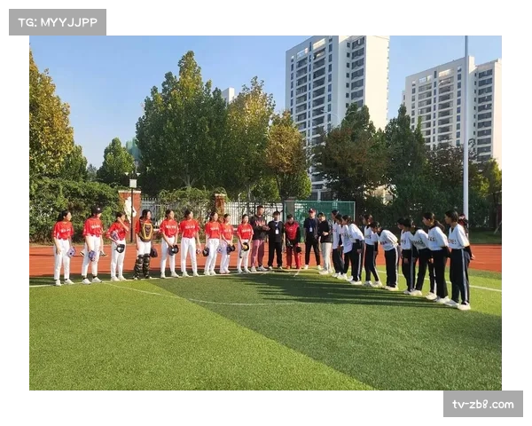 青少年垒球赛事体系完善：从校级联赛到全国锦标赛的晋升通道